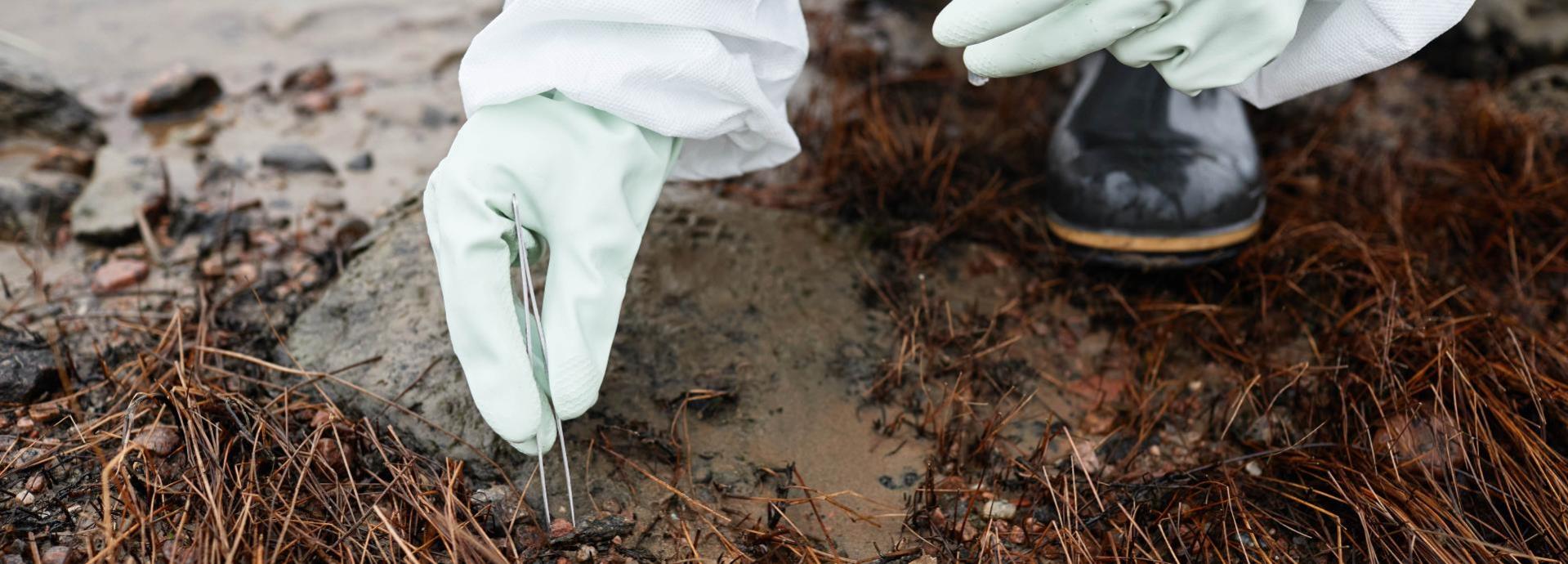 Gloved hands taking a sample at water's edge