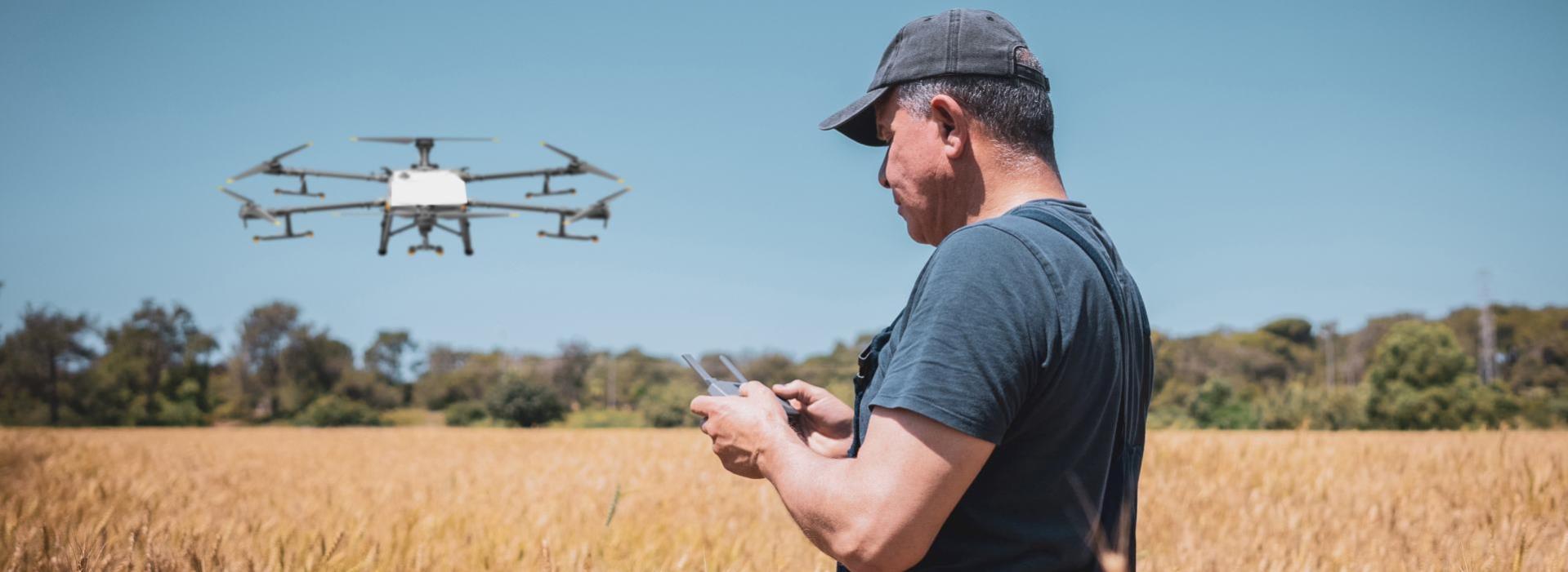 Man flying drone over wheat field
