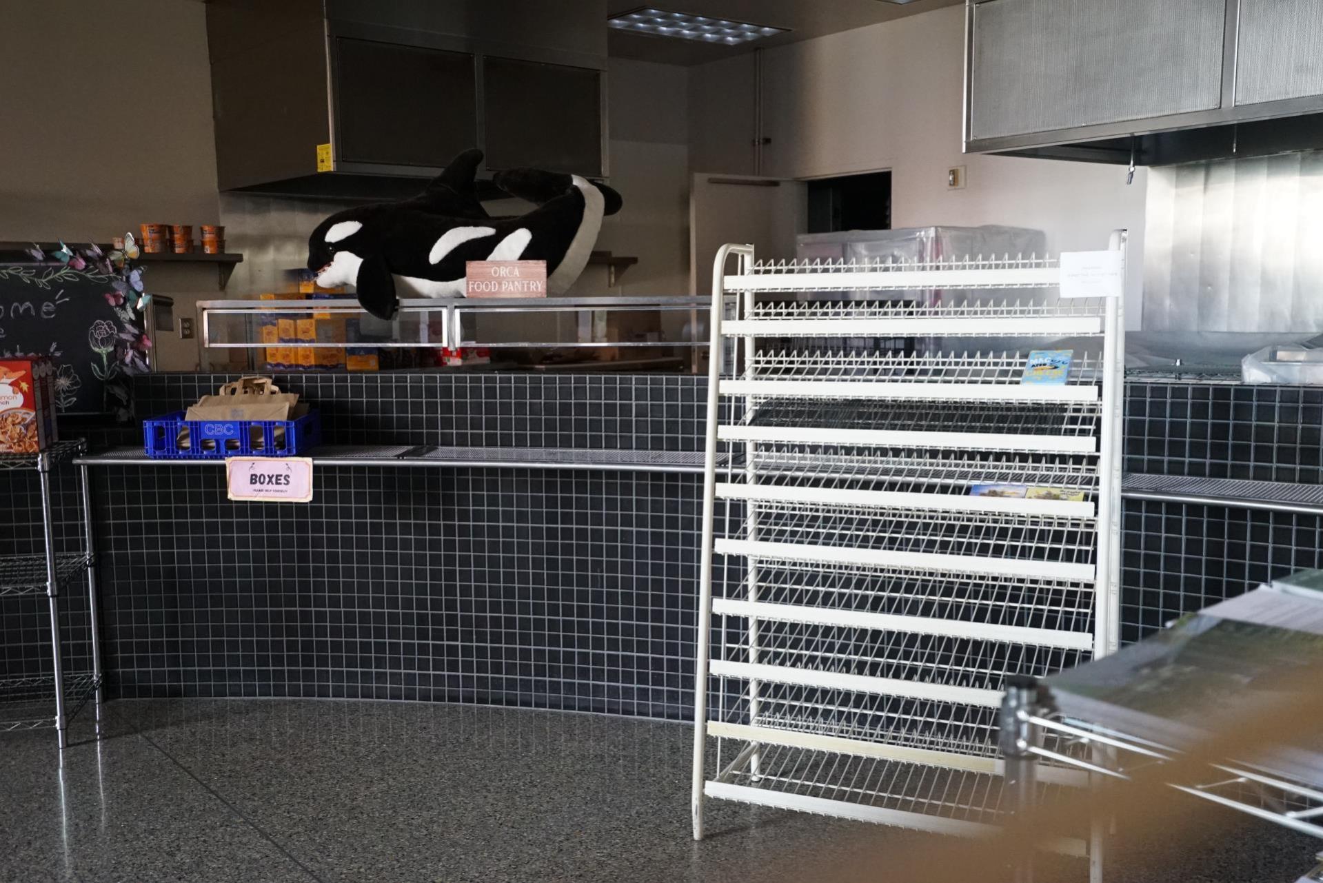 A photo of the interior of the WCC Orca Food Pantry showing empty shelves in Syre Building.