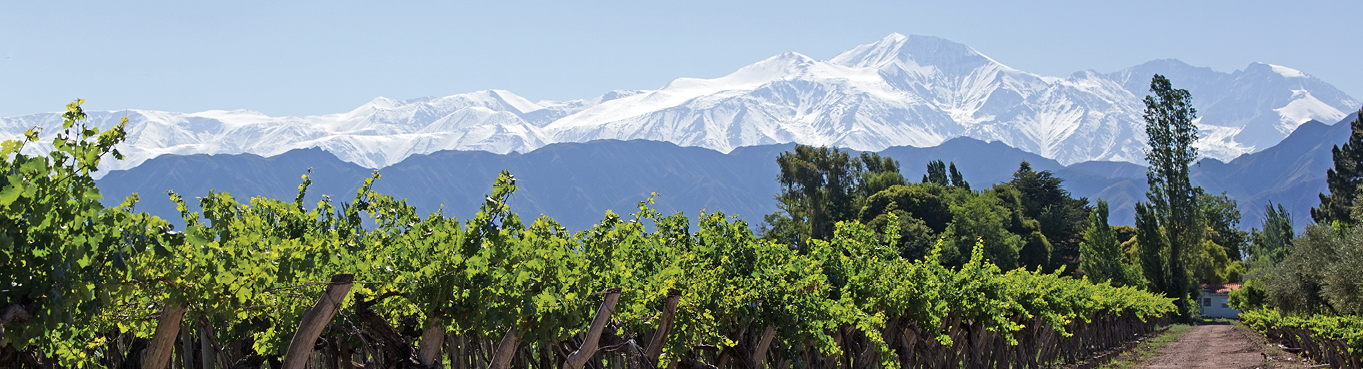 Essential South America trip image