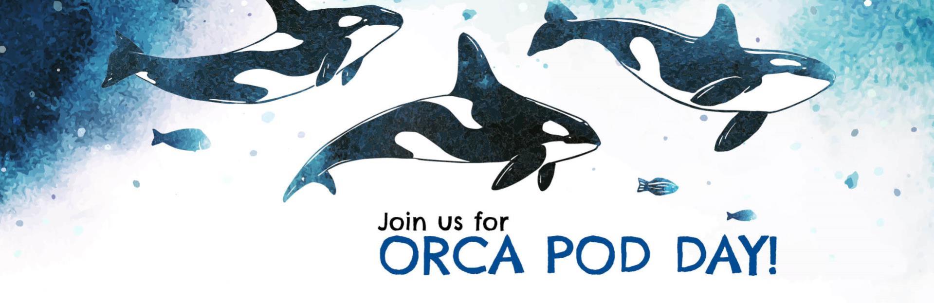 Illustration of Orca Pod gliding gracefully through the water. Text: Join us for Orca Pod Day!